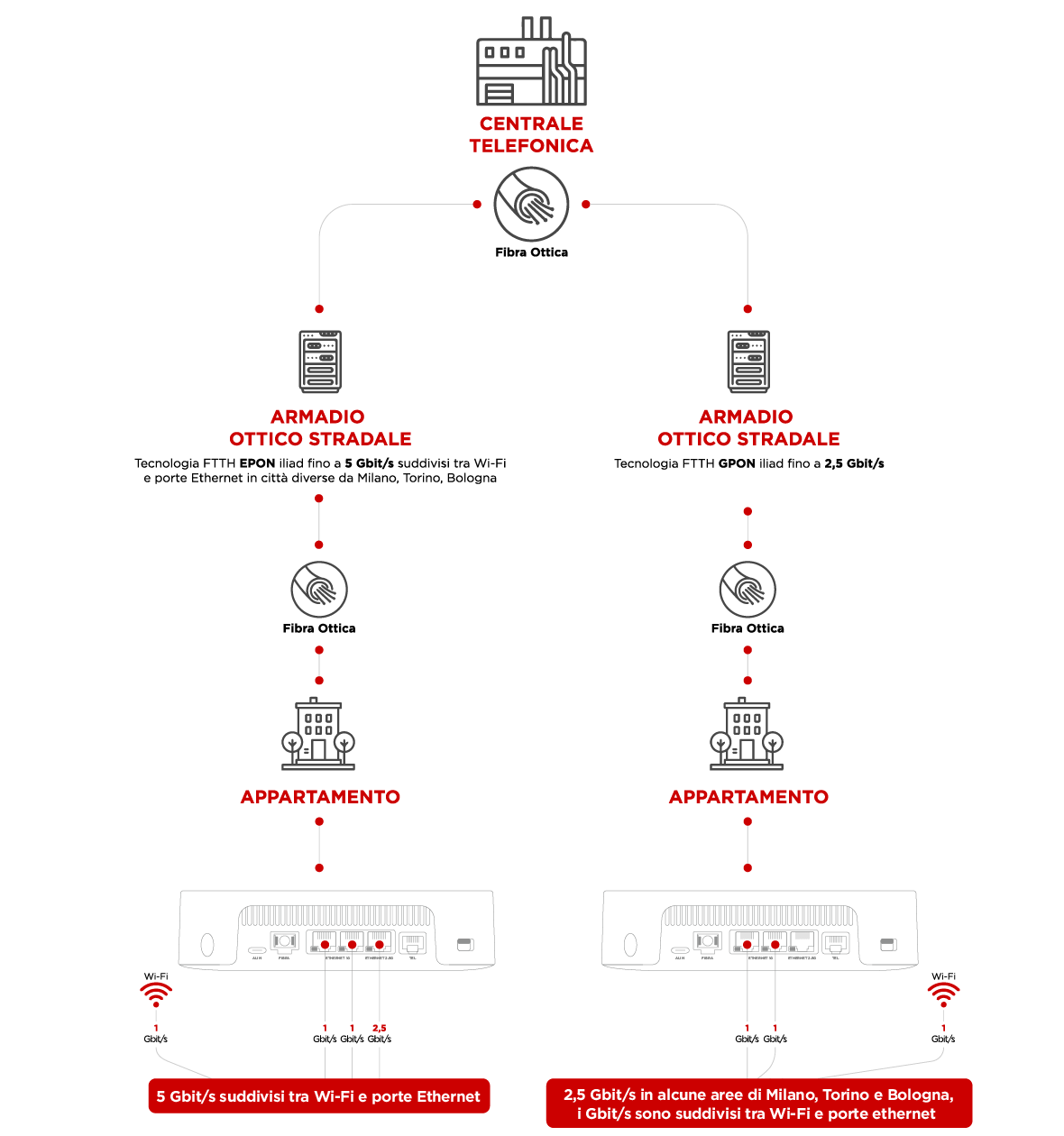 infografica fibra